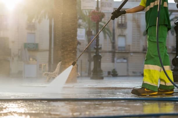 Best Driveway Pressure Washing  in Dupont, PA